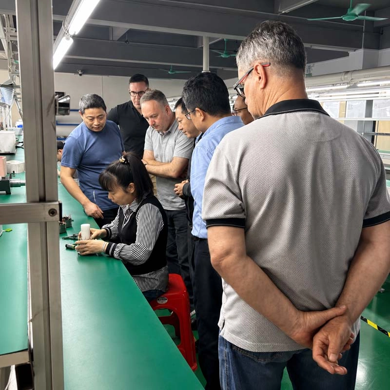 Customer visiting motor production line